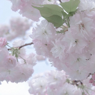 Furry插画风格探索思路福瑞交流群